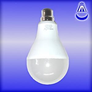 LED 12 watt bulb